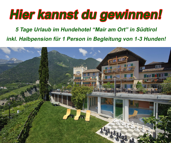 Hundehotel Mair am Ort